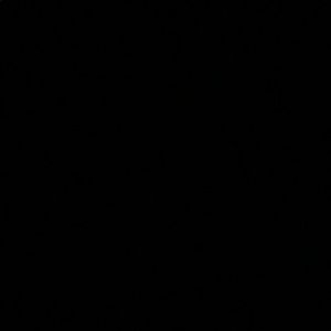 Meet your Posher, Alan